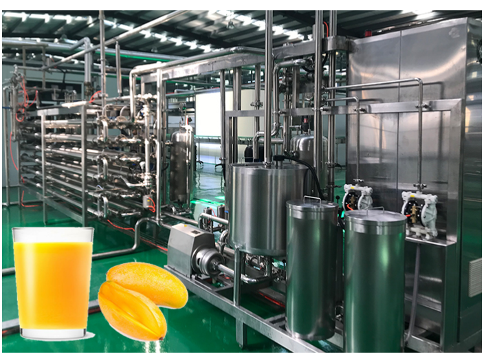 贵州各种芒果加工生产线设备