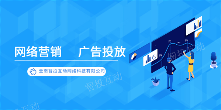 云南广告投放数据统计 欢迎咨询 云南智投互动网络科技供应