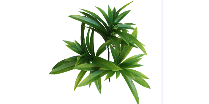 貴陽家居仿真植物銷售 浙江明筑新材料股份供應 浙江明筑新材料股份供應;
