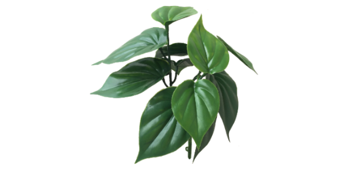 臺(tái)州市阻燃塑料綠植價(jià)格 浙江明筑新材料股份供應(yīng) 浙江明筑新材料股份供應(yīng)