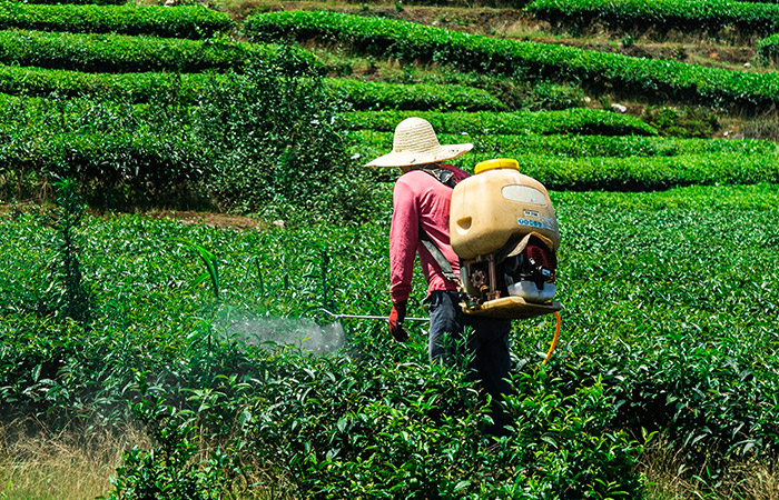 我国水稻植保机械四轮打药机现状与趋势