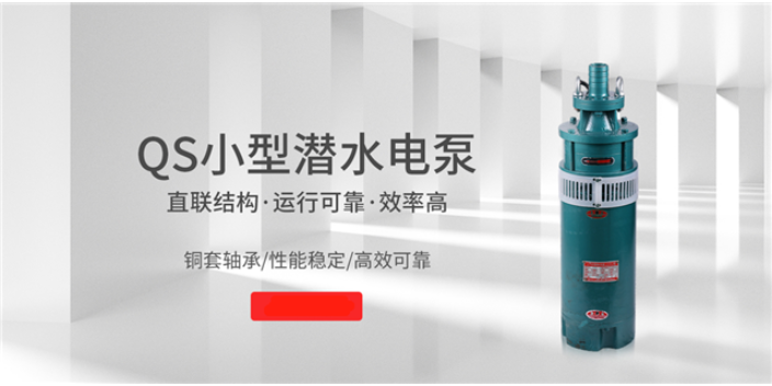 济南井用提水小型潜水泵定制价格 上海沪成泵业供应