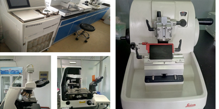 江蘇靠譜的HE染色公司 歡迎咨詢 南京英瀚斯生物科技供應(yīng)
