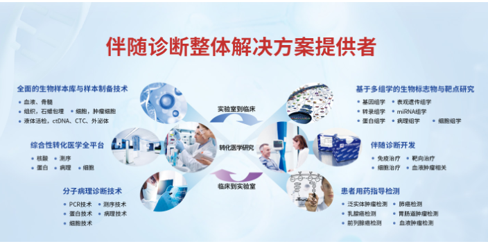 上海dMMR抗體檢測試劑經驗豐富 歡迎來電 邁杰轉化醫學供應