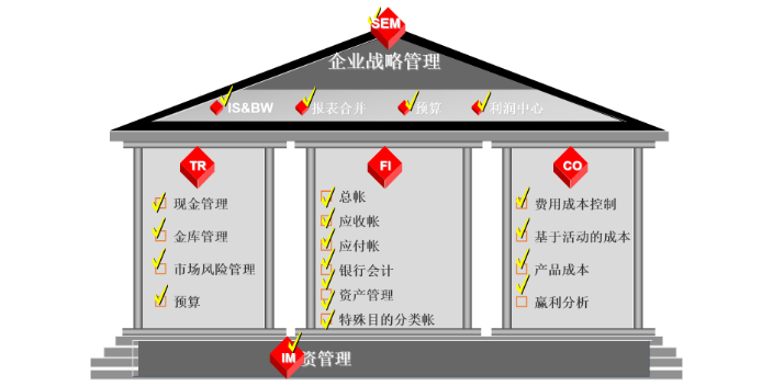 上海品牌SAP维护hana 贴心服务 上海速合信息科技供应