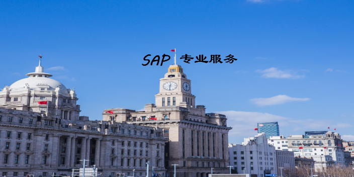 湖北信息化SAP服务开发服务