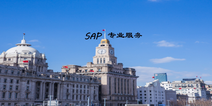 上海质量SAP维护技术服务 服务至上 上海速合信息科技供应