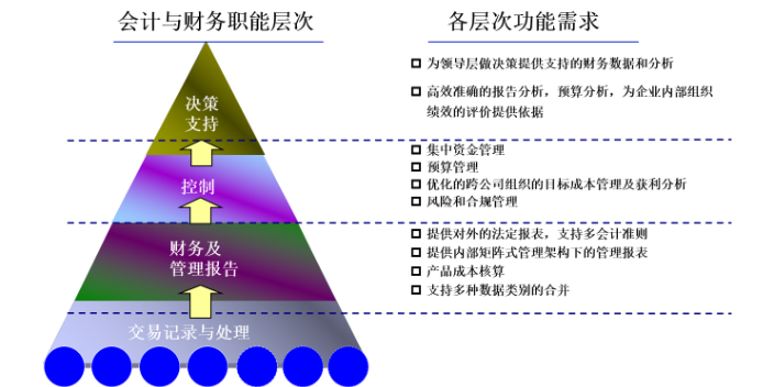 企业SAP实施fico服务