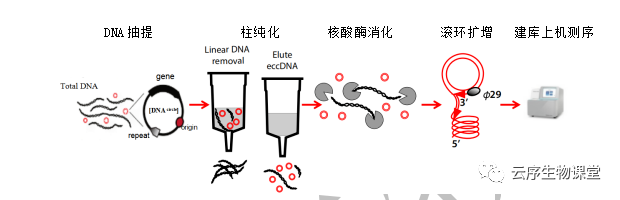 图片13.png