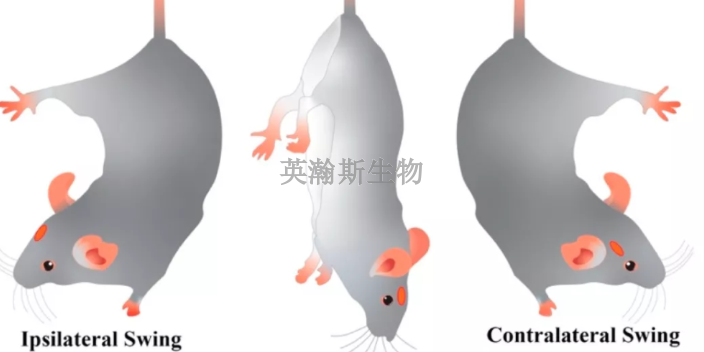 江西性价比高的动物实验外包公司