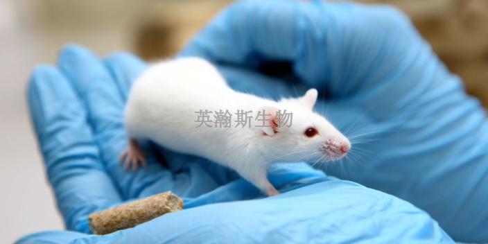 陕西专业的动物实验外包,动物实验外包