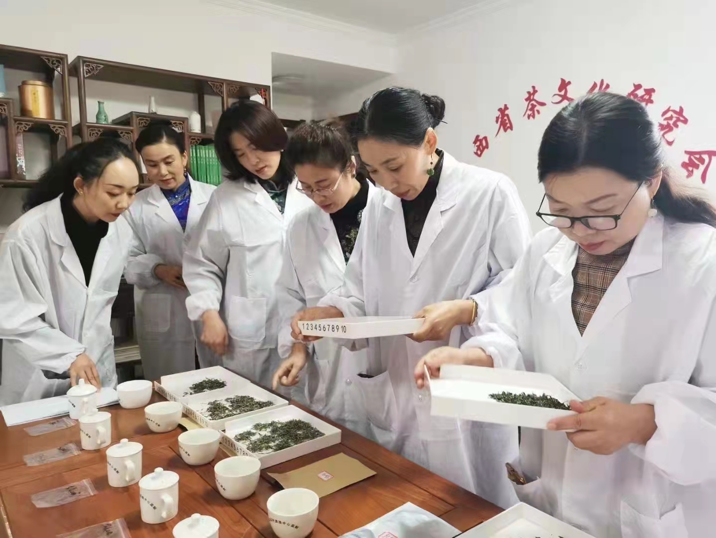 茶叶审评台,审评杯,柱形审评杯,梳齿口审评碗,评审杯,评审碗,叶底盘