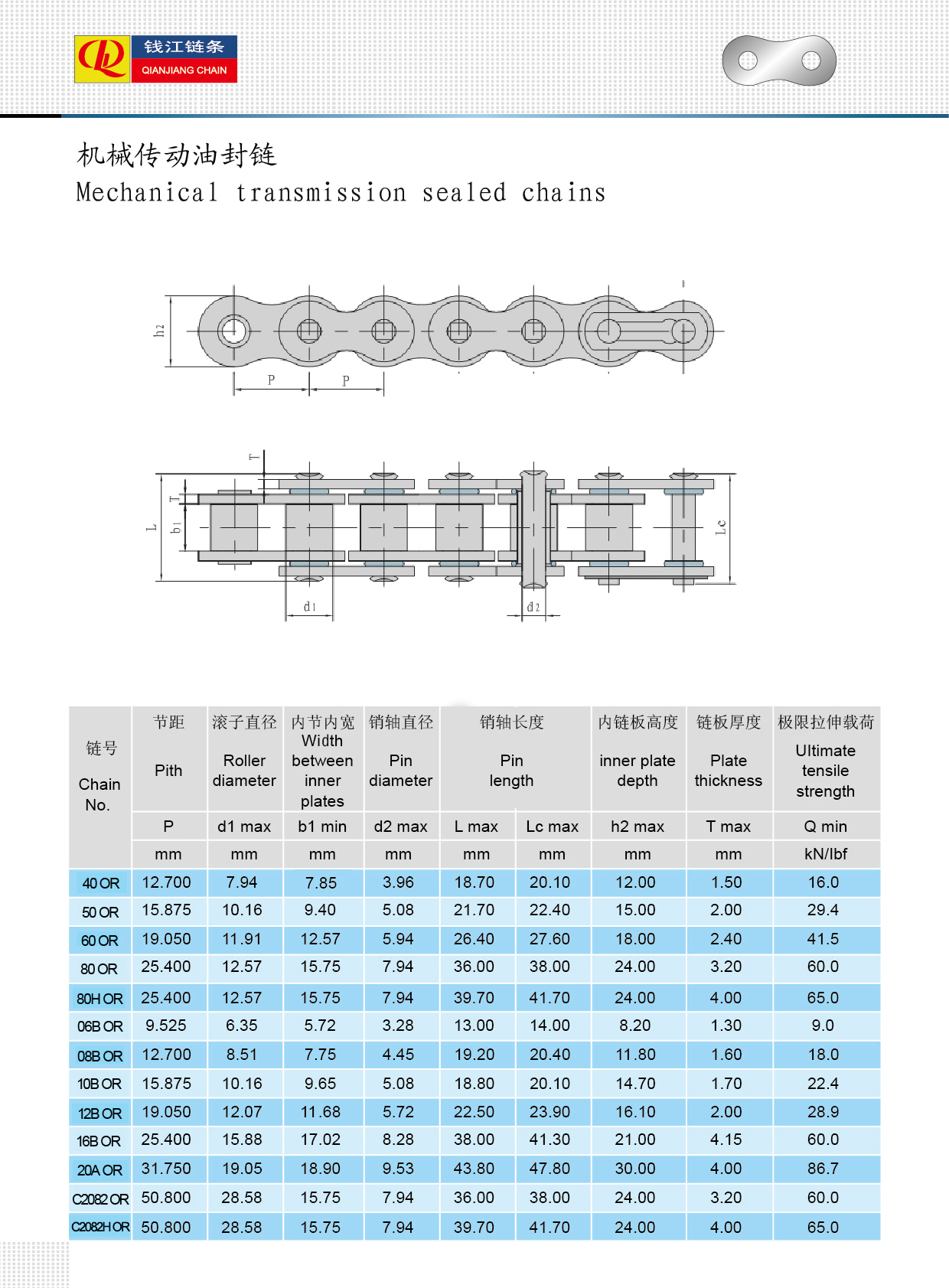 機(jī)械傳動(dòng)油封鏈-Mechanical transmission sealed chains.jpg