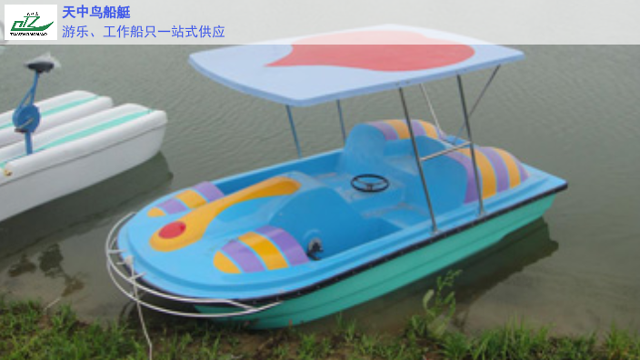 陕西儿童脚踏船结构 河南天中鸟船艇供应
