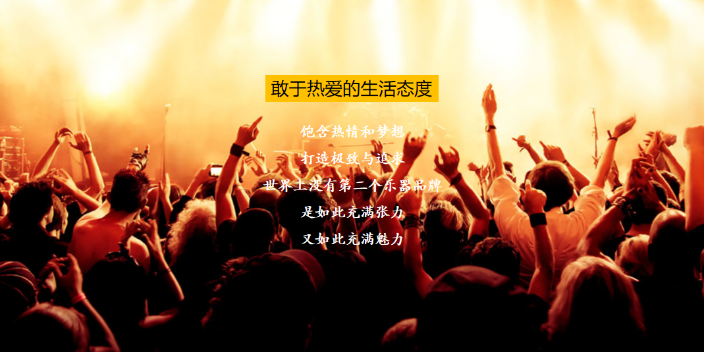 山东爱丽丝乐器网站 信息推荐 香港施坦威國際集團供应;