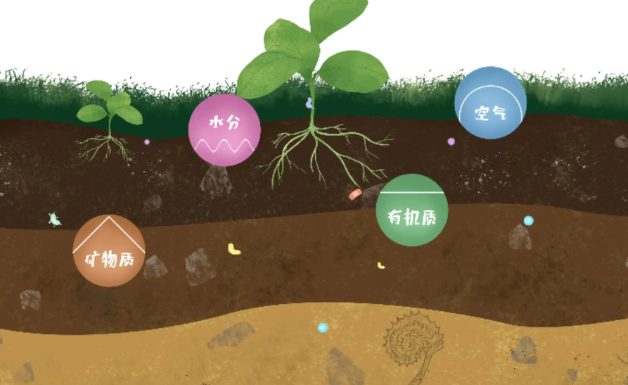 土壤功能之间的协同与权衡