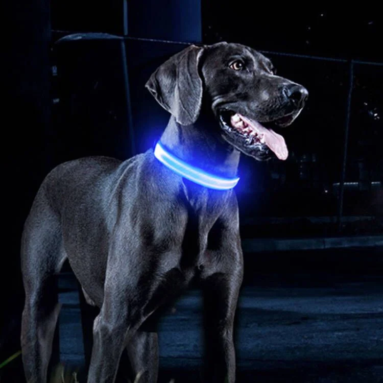 rechargeable flash funky dog collars
