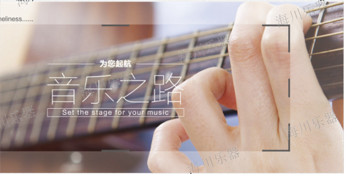 河南旋律乐器多少钱 客户至上 香港施坦威國際集團供应