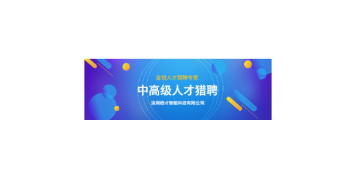 中山新能源猎头推荐 客户至上 深圳栖才智能科技供应