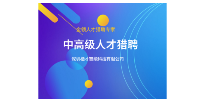 南京獵頭哪家性價比高 敏捷交付 深圳棲才智能科技供應