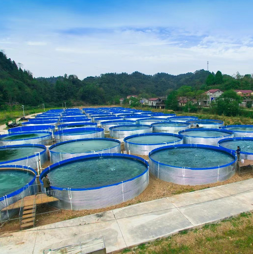 镀锌板养殖鱼池-惠州贝思养殖设备有限公司