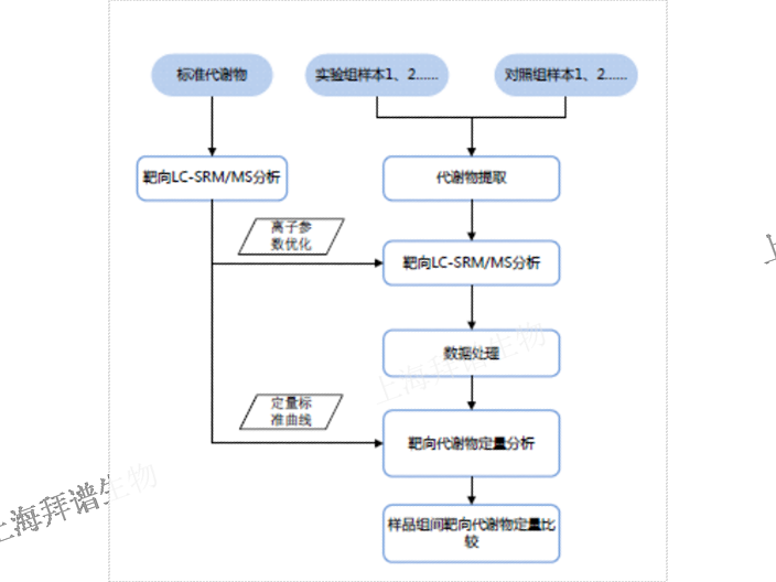 南京LC-MS／MS非靶向脂質(zhì)組學(xué)檢測(cè)多少錢