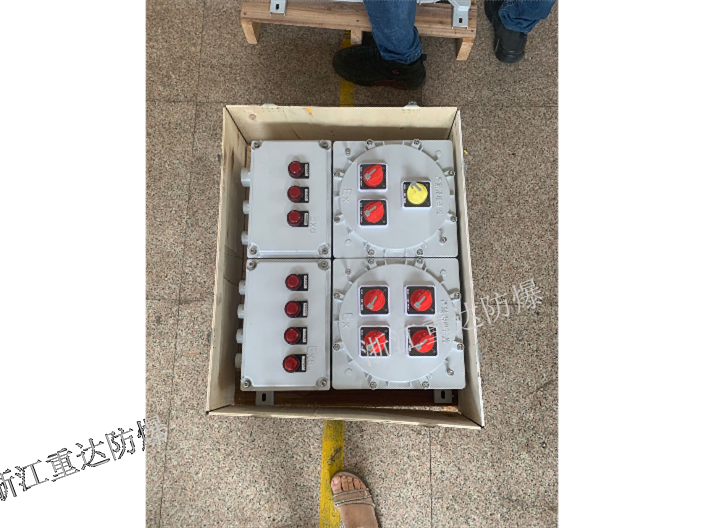 化工防爆控制箱参数 客户至上 浙江重达防爆电器供应