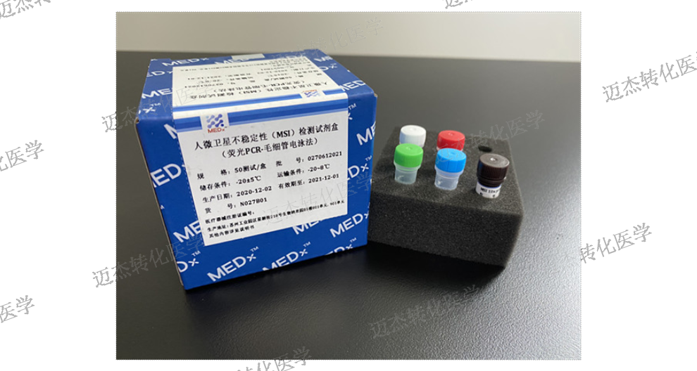 广东专业溶瘤病毒检测技术指导 欢迎来电 迈杰转化医学供应