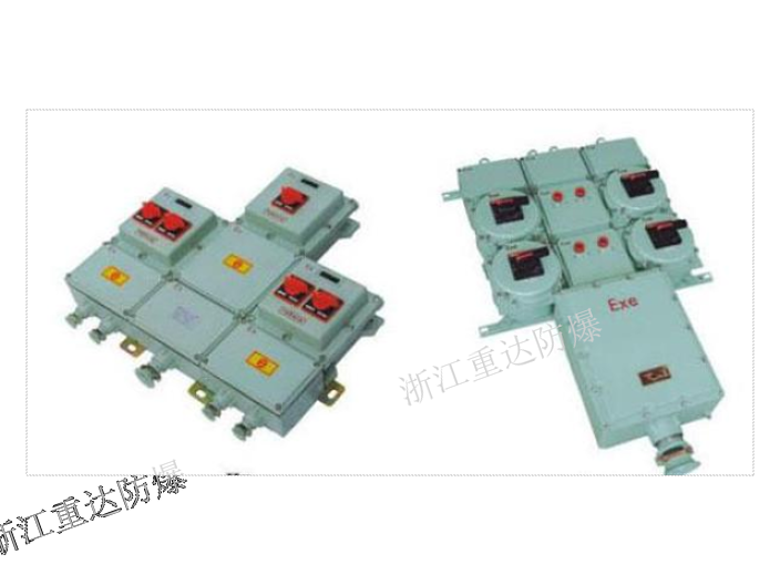 正压型防爆仪表箱生产厂 客户至上 浙江重达防爆电器供应