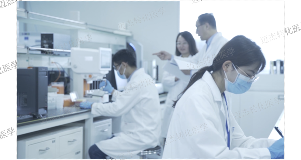 广东提供Claudin18.2抗体检测试剂口碑推荐