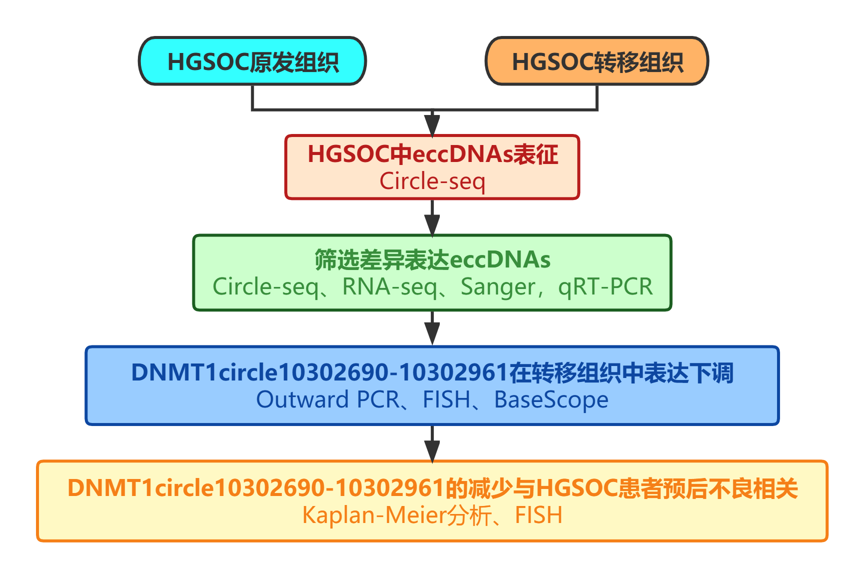 技术路线.png