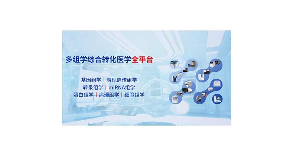 上海定制Claudin18.2抗體檢測試劑鄭重承諾 歡迎來電 邁杰轉化醫學供應