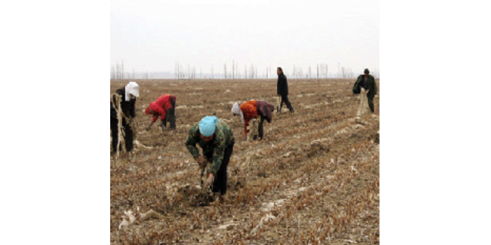 重庆HDPE农用地膜厂家 深圳市绿自然生物降解科技供应;