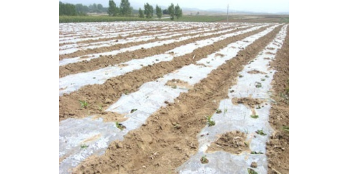 上海防渗农用地膜工艺 深圳市绿自然生物降解科技供应