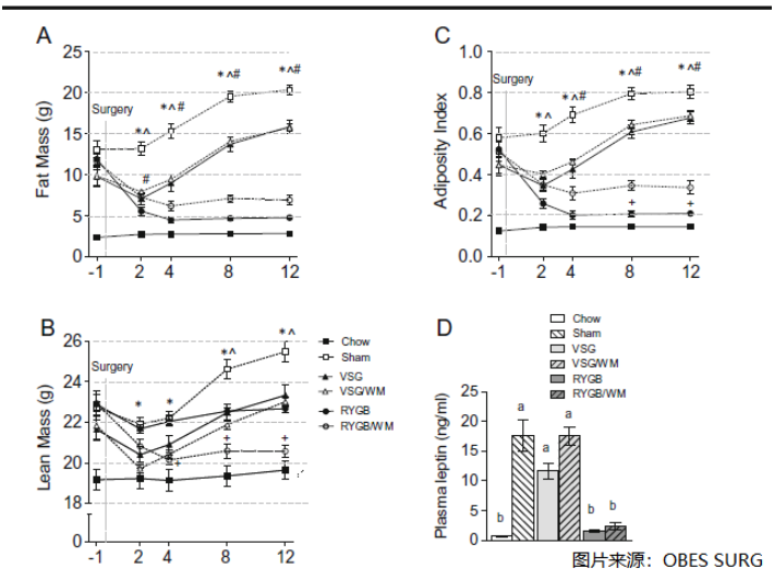 一站式核磁共振體組分應(yīng)用介紹 江蘇麥格瑞電子科技供應(yīng)