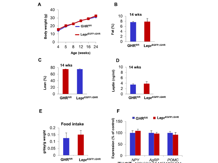 一站式核磁共振體組分儀器供應(yīng)商 江蘇麥格瑞電子科技供應(yīng)