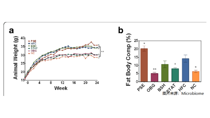 低場(chǎng)時(shí)域核磁共振體組分與糖尿病研究 江蘇麥格瑞電子科技供應(yīng)