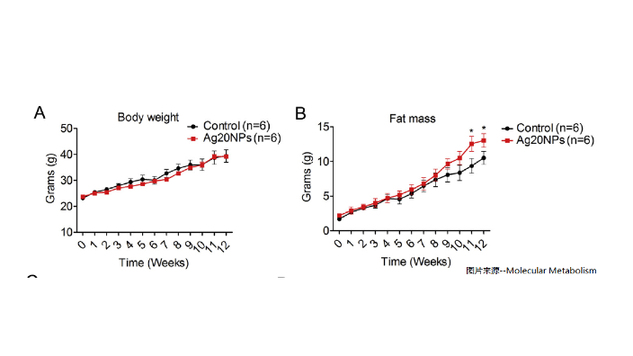 快速體組分與代謝研究 江蘇麥格瑞電子科技供應(yīng)