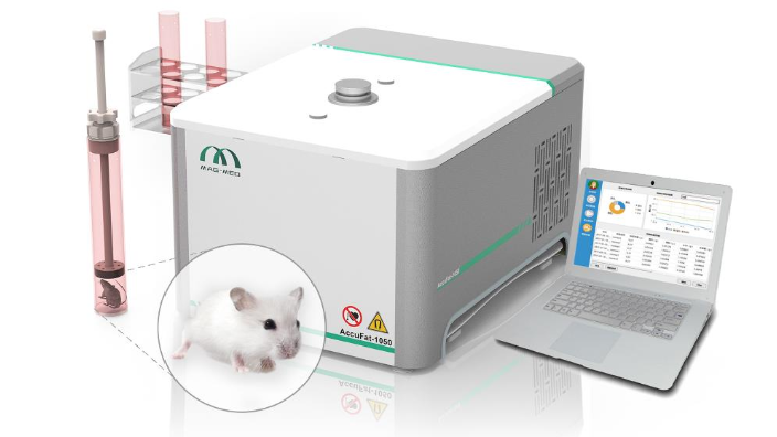 实验鼠体组分检测