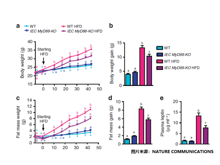 體組分儀 江蘇麥格瑞電子科技供應