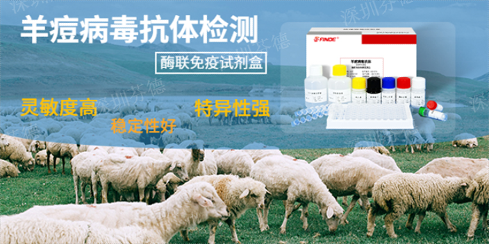 上海OEM羊痘抗体检测试剂盒 真诚推荐 深圳芬德生物供应