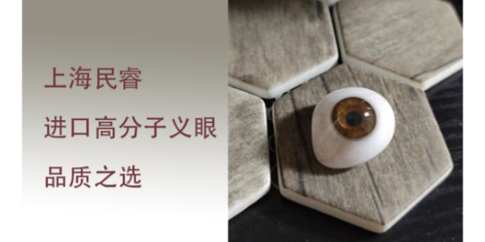 上海眼摘仿生虹膜定制義眼哪家好 上海崇睿醫(yī)療器械科技供應(yīng)
