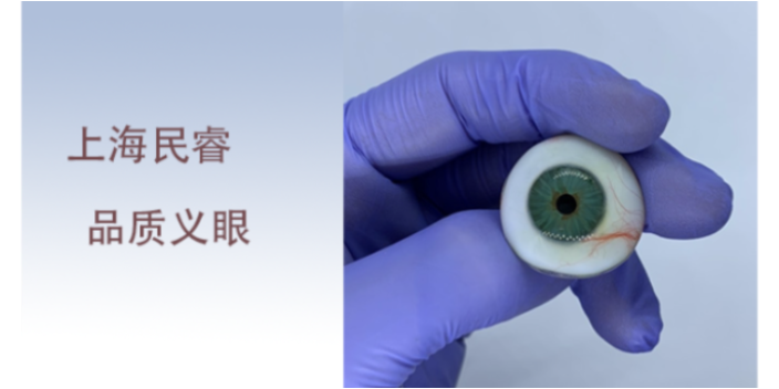 上海眼球保留義眼多少錢 上海崇睿醫(yī)療器械科技供應(yīng)