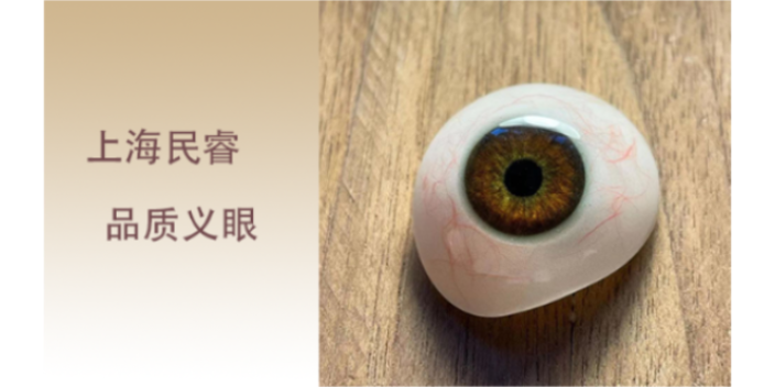 上海摘除仿生虹膜定制義眼 上海崇睿醫(yī)療器械科技供應(yīng)