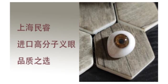 上海民睿仿生虹膜定制義眼在哪里 上海崇睿醫(yī)療器械科技供應(yīng)