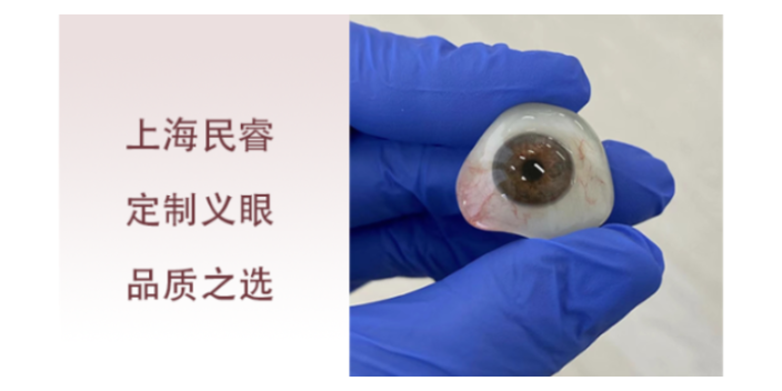 上海超輕仿生虹膜定制義眼 上海崇睿醫(yī)療器械科技供應(yīng)