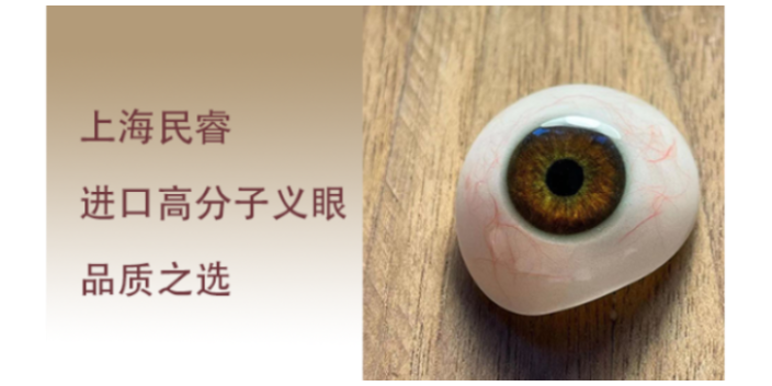 上海仿真眼球保留义眼 上海崇睿医疗器械科技供应;