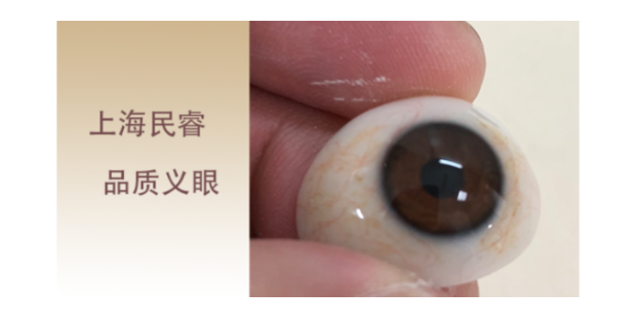 上海眼摘仿生虹膜定制義眼多少錢 上海崇睿醫(yī)療器械科技供應(yīng)