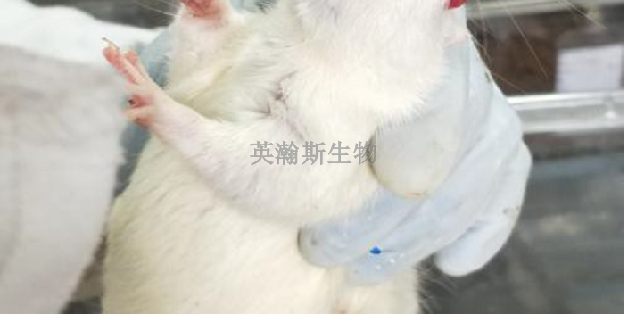 上海质量好的动物实验外包公司
