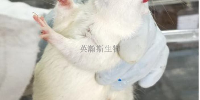 甘肅靠譜的動物實驗外包服務